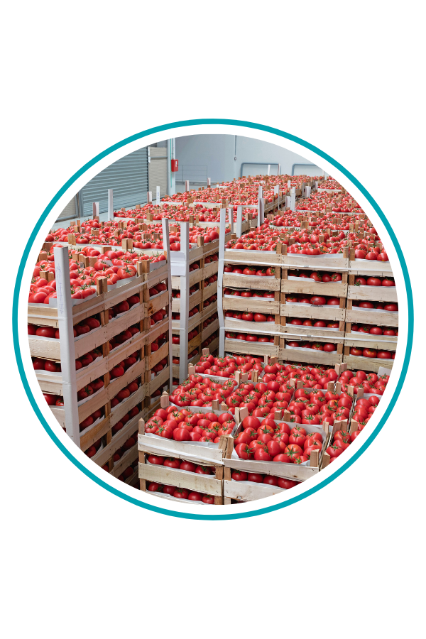 Growzer header (3)